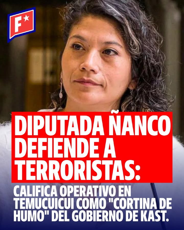 La diputada Ericka Ñanco cuestionó el operativo policial en Temucuic…
