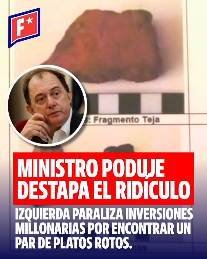 El ministro Poduje expuso el disparate: la izquierda paraliza inversio…