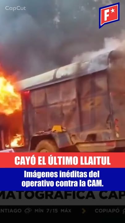 Se revelaron las imágenes inéditas del operativo que detuvo a Pelant…